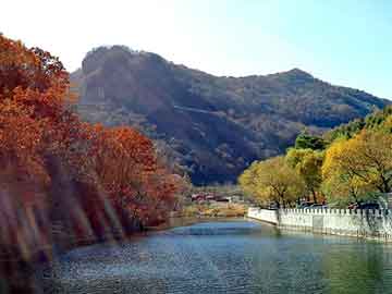 新澳天天开奖资料大全旅游团，二手呼吸机